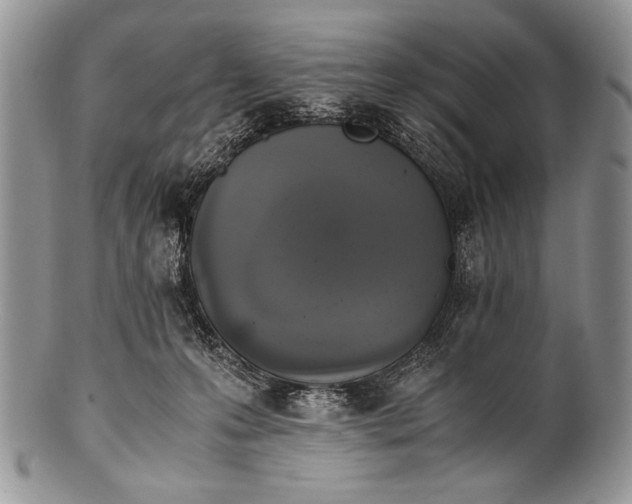 X0000100350223200806201549