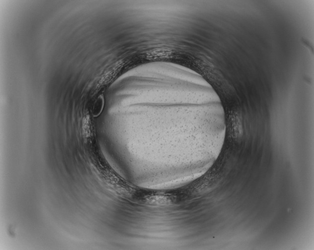 X0000100350224200806201549