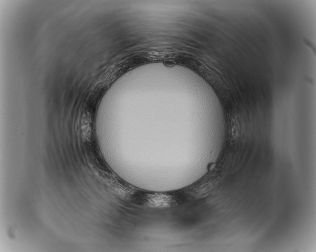 X0000100350226200806201549