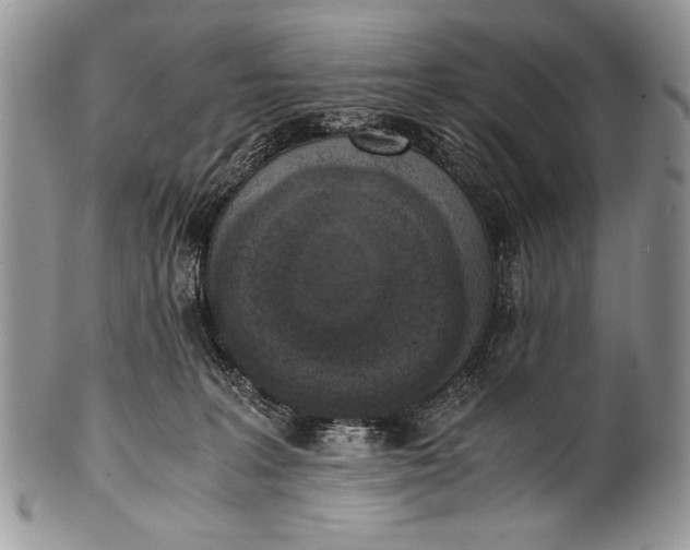 X0000100350227200806201549