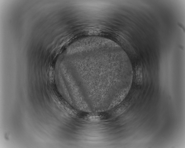 X0000100350228200806201549