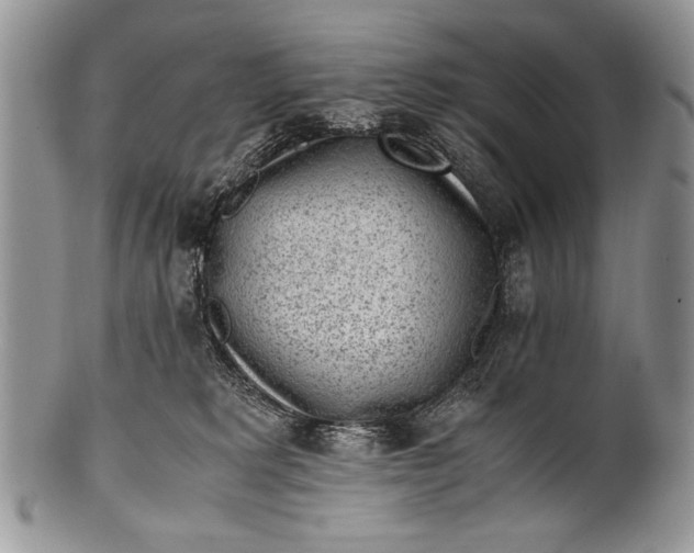 X0000100350229200806201549