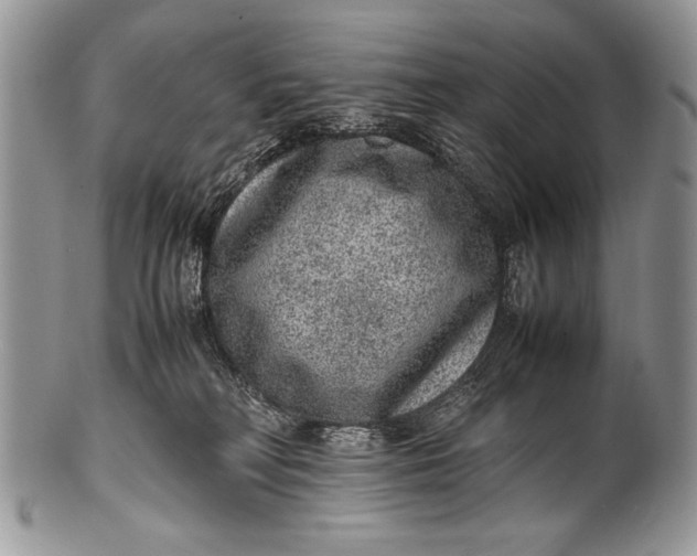 X0000100350230200806201548