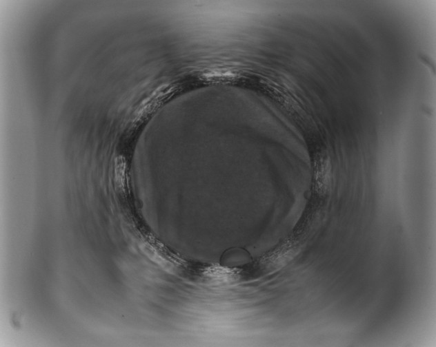 X0000100350231200806201548