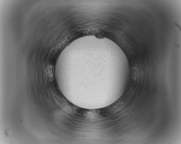 X0000100350232200806201548