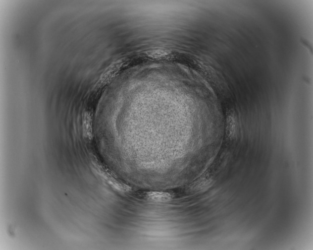 X0000100350234200806201548