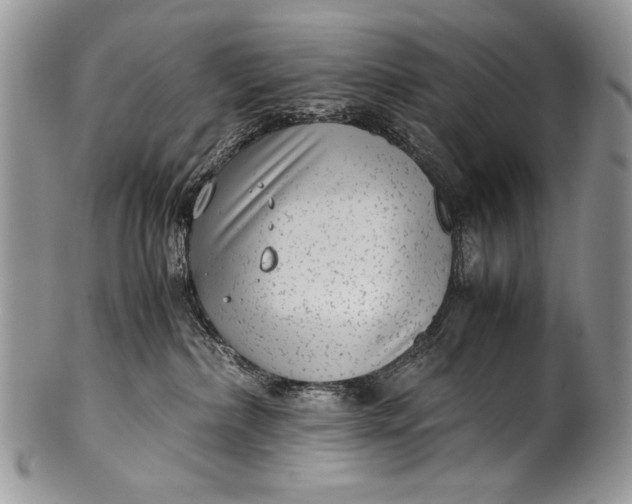 X0000100350236200806201548