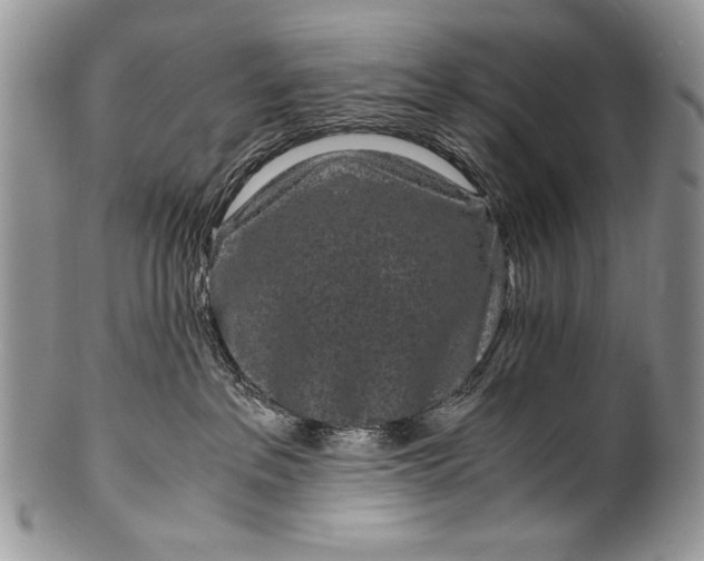 X0000100350237200806201548