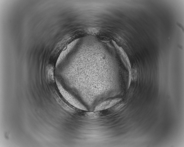 X0000100350238200806201548