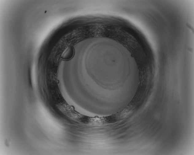 X0000100350239200806201548