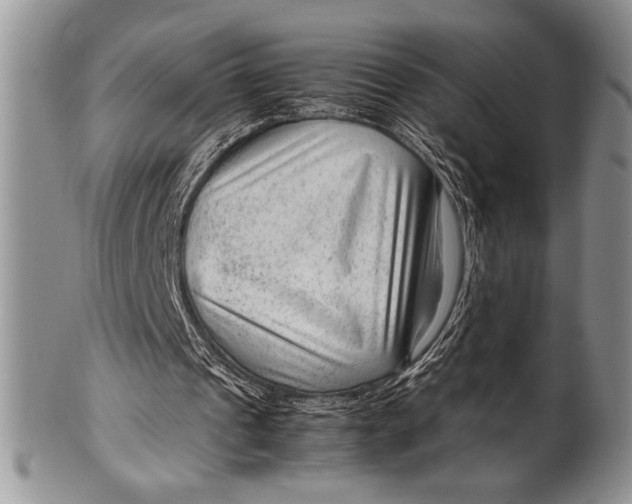 X0000100350241200806201548