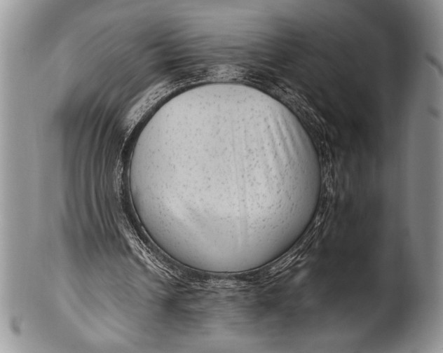X0000100350242200806201548