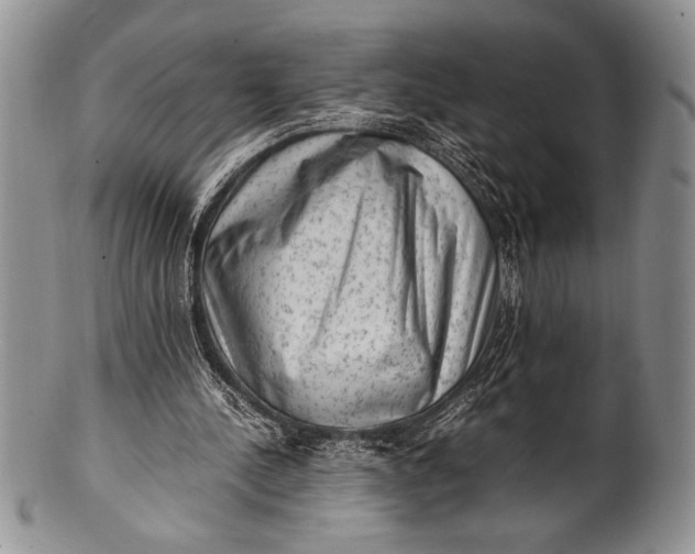 X0000100350244200806201548