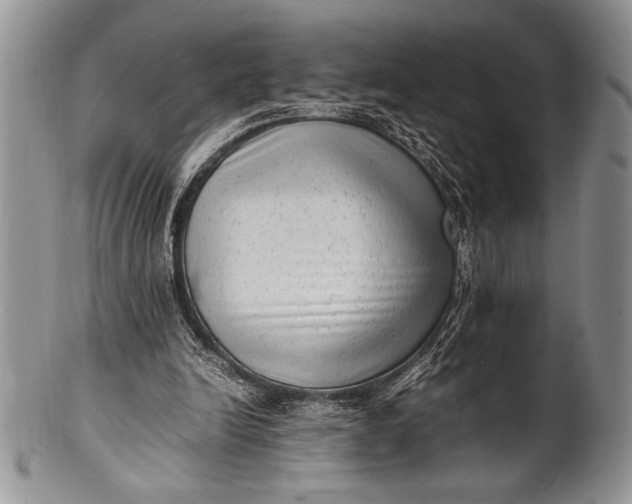 X0000100350246200806201548