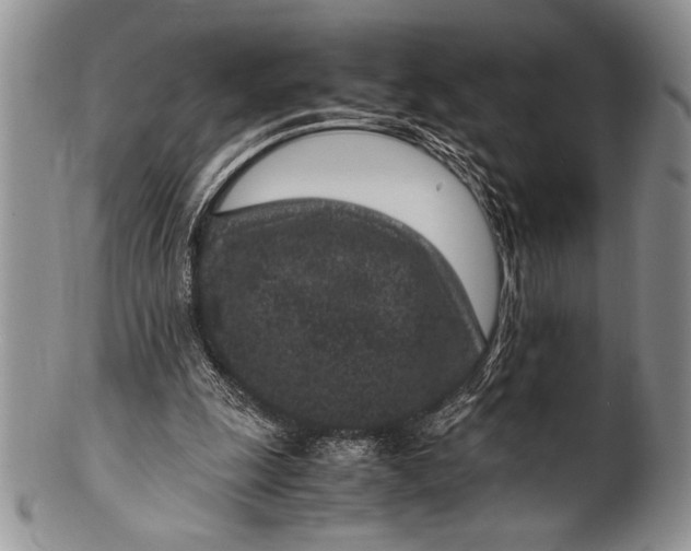 X0000100350247200806201548