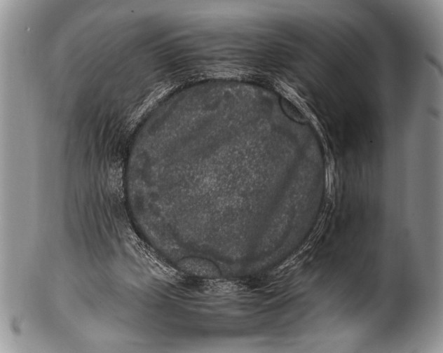 X0000100350249200806201548