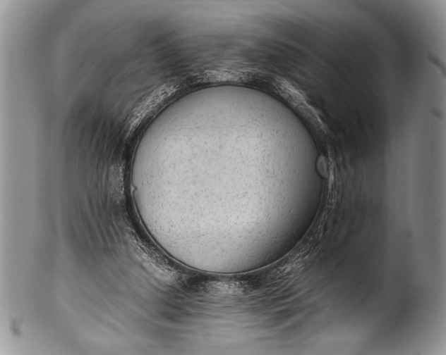 X0000100350250200806201548