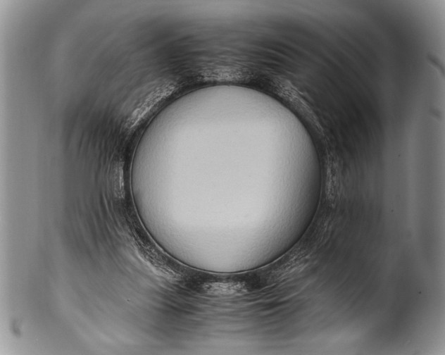 X0000100350251200806201548