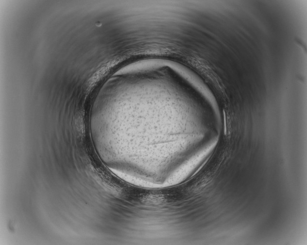 X0000100350252200806201548