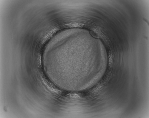 X0000100350254200806201548