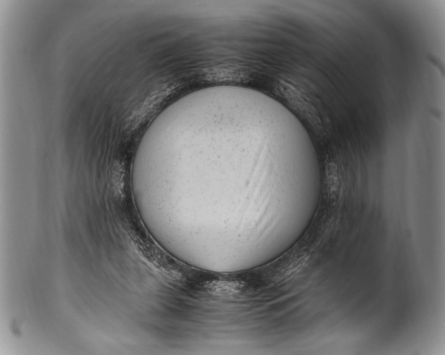 X0000100350255200806201548