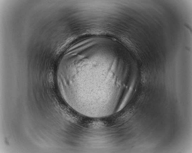 X0000100350256200806201548