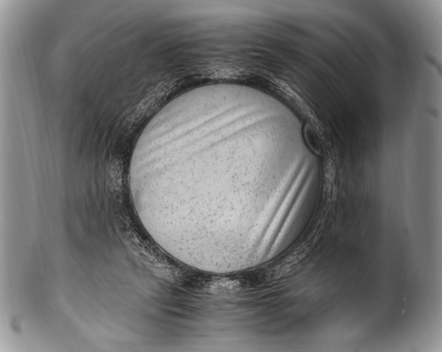 X0000100350257200806201548
