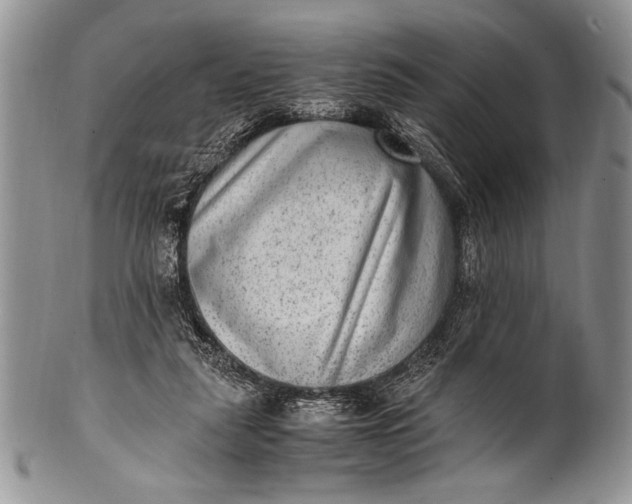 X0000100350259200806201548