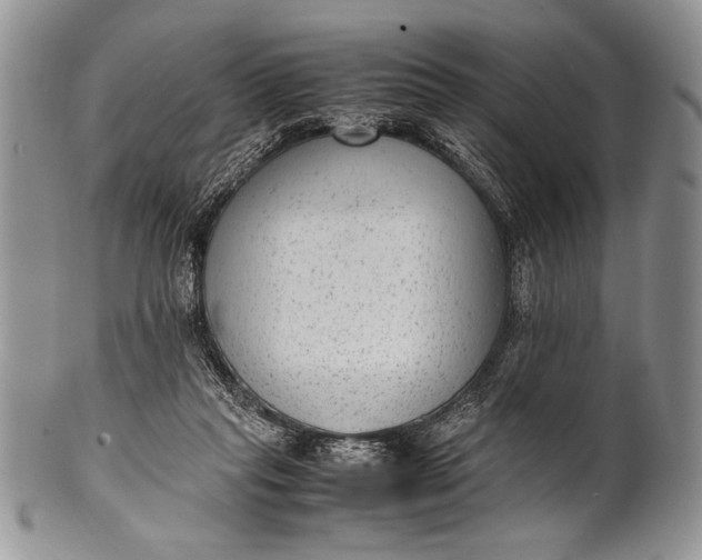 X0000100350261200806201548