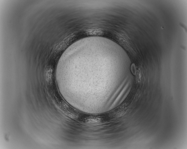 X0000100350263200806201548