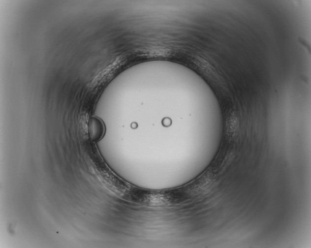 X0000100350264200806201548