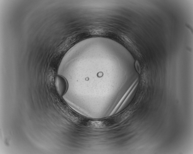 X0000100350265200806201548