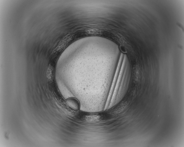 X0000100350266200806201548