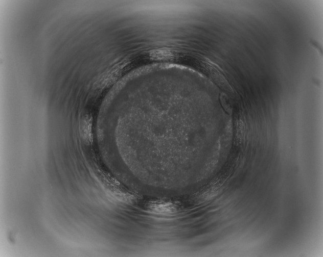 X0000100350267200806201548