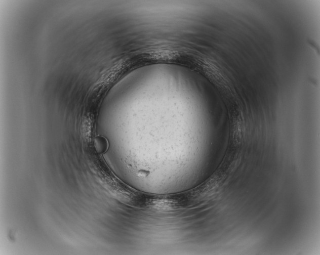 X0000100350268200806201548