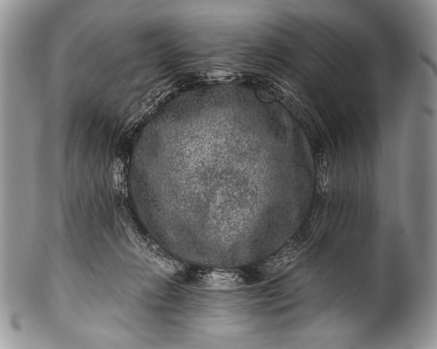 X0000100350270200806201548