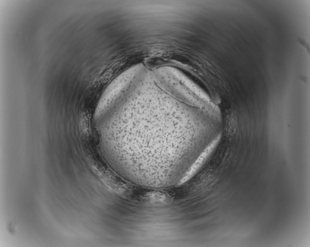X0000100350272200806201548
