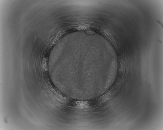 X0000100350273200806201548