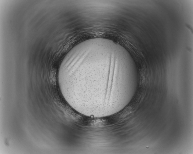 X0000100350274200806201548