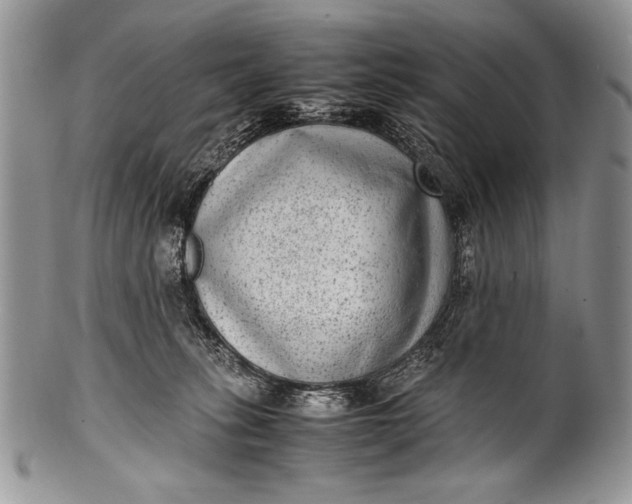X0000100350275200806201548