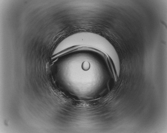 X0000100350276200806201548