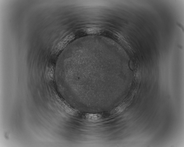 X0000100350277200806201548