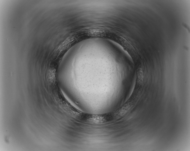 X0000100350278200806201548