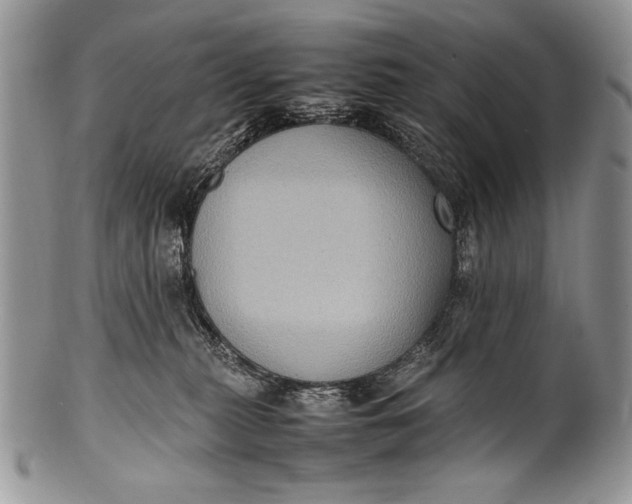 X0000100350279200806201548