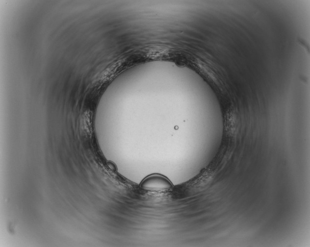 X0000100350280200806201548