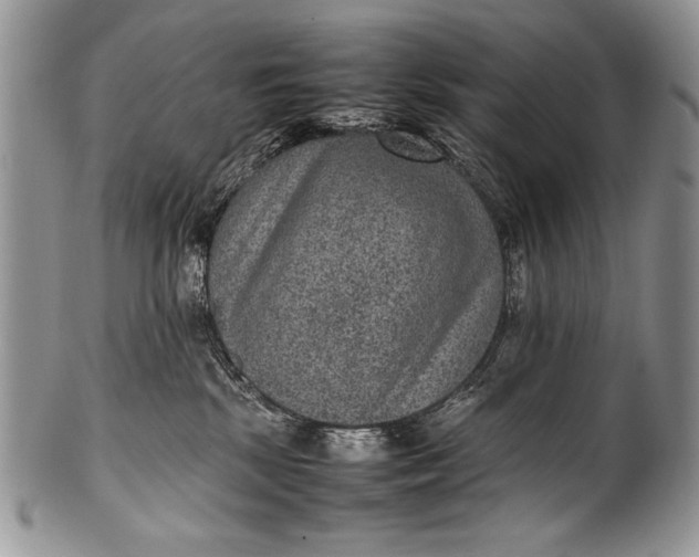 X0000100350281200806201548
