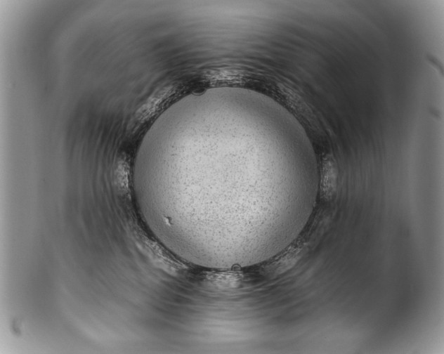 X0000100350282200806201548