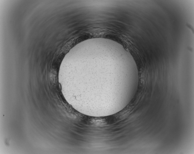 X0000100350283200806201548