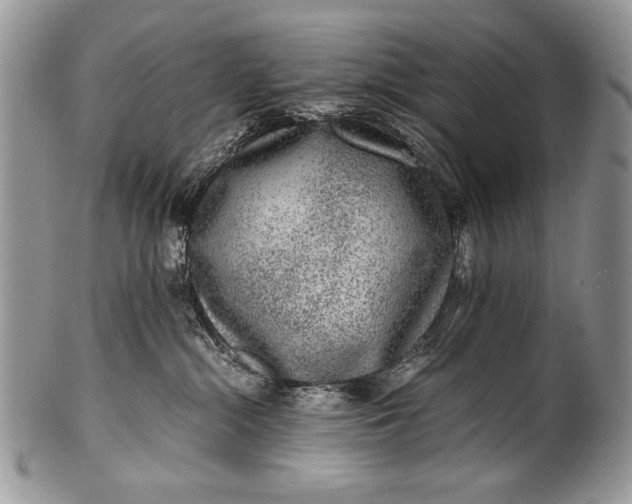 X0000100350284200806201548