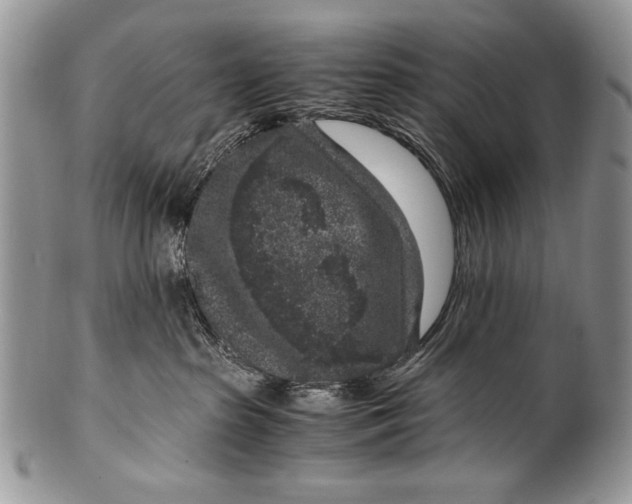 X0000100350285200806201548